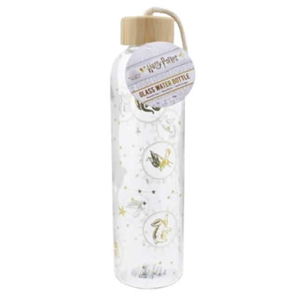 Sticlă pentru apă Paladone Glass Water Bottle Multicolor photo 2