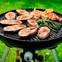 Plasă pentru grătar Cadac Carri Chef 2 BBQ Aluminiu/ 470 x 470 x 36 mm photo 2