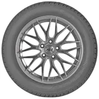 Anvelope Sava ESKIMO SUV 2 235/ 55 R17 103H XL Iarnă/ Suv photo 3