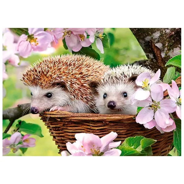 Puzzle 2D Castorland Springtime 6+/ Numărul de piese: 120 photo 2