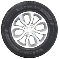 Шины Michelin Pilot Alpin 5 SUV 305/ 40 R20 112V XL TL Зимние/ Внедорожник photo 2