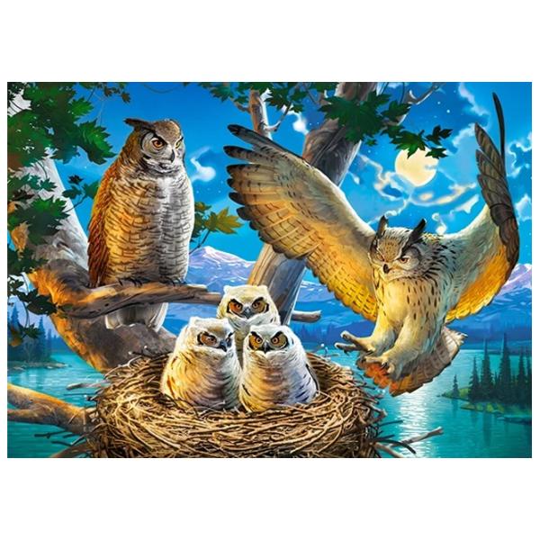 Puzzle 2D Castorland Owl Family 7+/ Numărul de piese: 180 photo 2