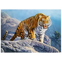 Puzzle 2D Castorland Tiger on the Rock 7+/ Numărul de piese: 180 photo 2