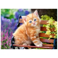 Puzzle 2D Castorland Ginger Kittens 7+/ Numărul de piese: 180 photo 2