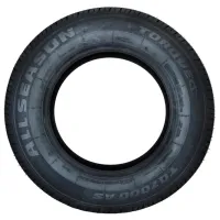 Шины Torque TQ7000AS 225/ 65 R16C 112/ 110R Всесезонные/ Легкогрузовой photo 2