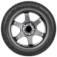 Шины Maxxis WP-05 Arctic Trekker 155/ 65 R14 79T TL M+S Зимние/ Легковой photo 2