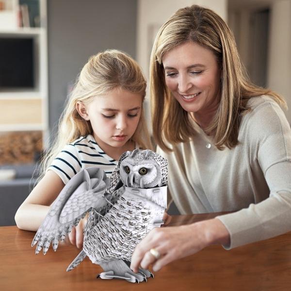 Пазл 3D CubicFun Snowy Owl 8+/ Количество деталей: 32 photo 3
