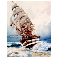 Puzzle 2D Anatolian Black Pearl 6+/ Numărul de piese: 1000 photo 2