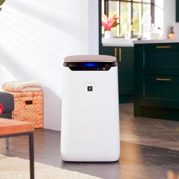 Очиститель воздуха SHARP FP-J80EU-W Напольная/ Белый photo 5