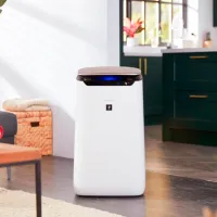 Очиститель воздуха SHARP FP-J80EU-W Напольная/ Белый photo 5