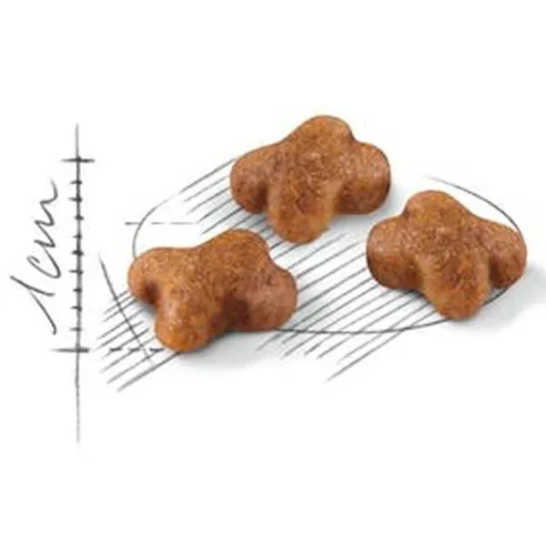 Корм для кошек сухой Royal Canin Kitten 27878-001 4 кг/ Курица photo 2