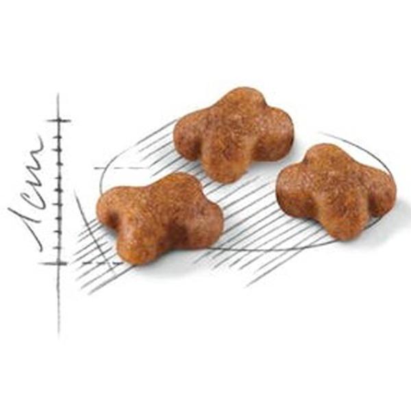 Корм для кошек сухой Royal Canin Kitten 27878-001 4 кг/ Курица photo 2
