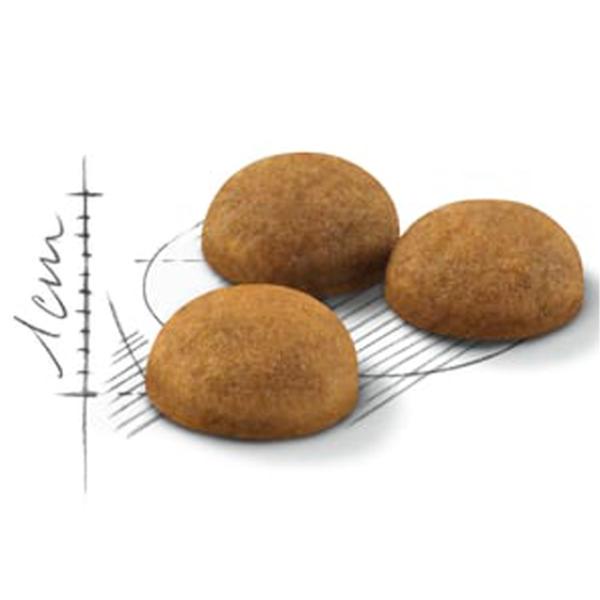 Hrană pentru pisici uscată Royal Canin Indoor Long Hair 27862-001 2 kg/ Găină photo 2