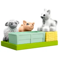 Constructor LEGO Farm Animal Care Animale/ Multicolor photo 2
