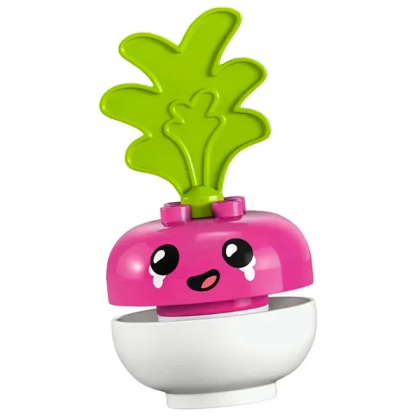 Constructor LEGO Organic Market Figuri/ Multicolor photo 4