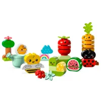 Constructor LEGO Organic Garden Fermă/ Multicolor photo 2