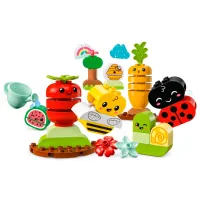 Constructor LEGO Organic Garden Fermă/ Multicolor photo 3