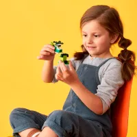 Constructor LEGO Creative Bricks Figuri/ Green photo 9