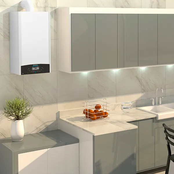 Газовый котёл Ariston Genus X 24 TF 24 кВт/ 240 м² photo 5