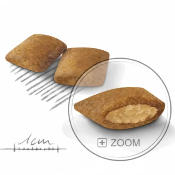 Hrană pentru câini uscată Royal Canin Mini Exigent 27807-001 1 kg/ Pasăre photo 2