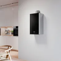 Centrală termică pe gaz Ariston Alteas XC 35 FF NG 35 kW/ 350 m² photo 5