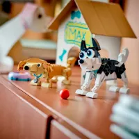 Constructor LEGO Adorable Dogs Animale/ Multicolor photo 9