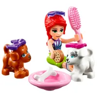 Constructor LEGO Puppy Playground Figuri/ Multicolor photo 5