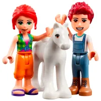 Constructor LEGO Pony-Washing Stable Figuri/ Multicolor photo 4