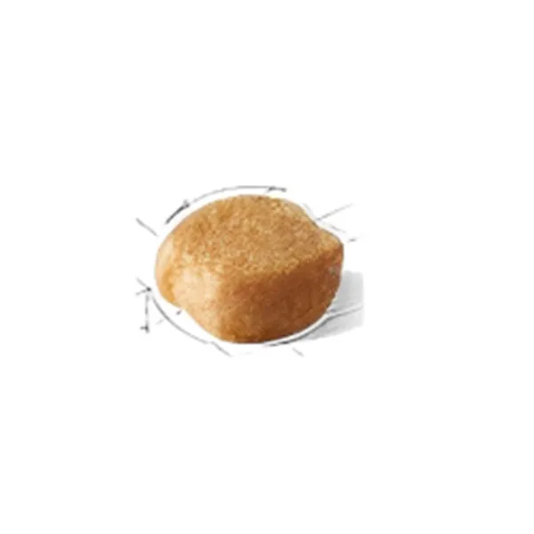 Hrană pentru câini uscată Royal Canin Poodle Adult 27816-001 1.5 kg/ Pasăre photo 2
