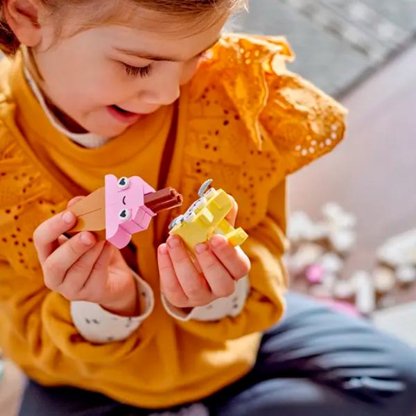 Конструктор LEGO Pastel Fun Творческий/ Разноцветный photo 9