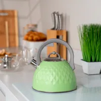 Ceainic Ardesto AR1947KG 2.5l Oțel inoxidabil / Nailon / Green photo 5