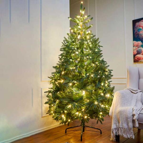Елка DiviTrees Nordman LED 210см/ Зелёный photo 2