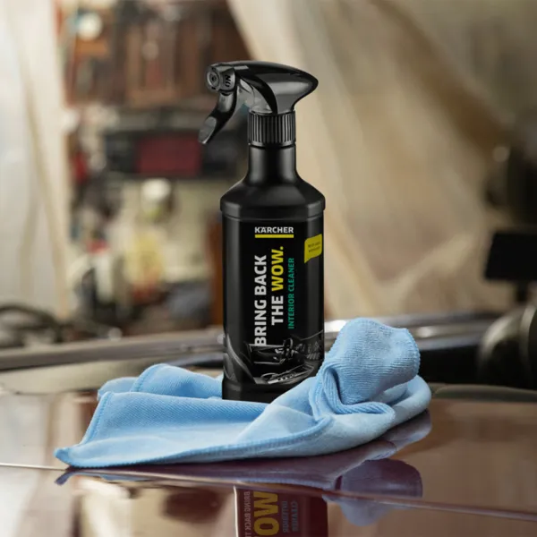 Очиститель KARCHER RM 651 (6.296-106.0) салон photo 2