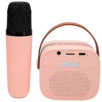 Микрофон KTV P2 Розовый photo 3