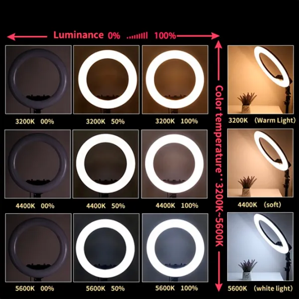 Штатив с круглой лампой Selfie Ring Light M22S 558 мм Черный photo 4