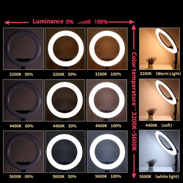 Штатив с круглой лампой Selfie Ring Light M22S 558 мм Черный photo 4