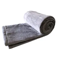 Электрическое одеяло Electric Blanket 1048877 120 Вт / Полиэстер / Серый photo 3