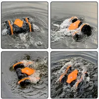 Mașină RC Amphibious Stunt Car CV-B600-2 / 2.4 GHz / Black Orange photo 4