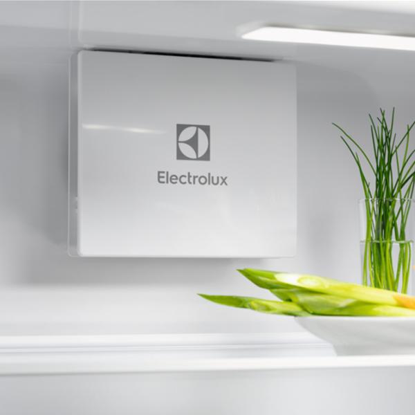 Frigider Electrolux LND5FE18S cu congelator jos 269 l / 177.2 cm / White photo 3