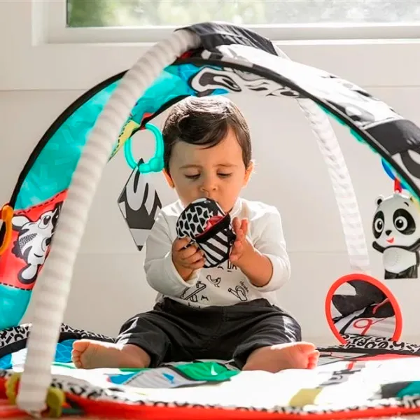 Игровой коврик Baby Einstein Bold New World () 0+/ Трансформер/ Белый photo 5
