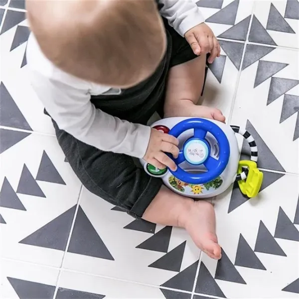 Jucărie interactivă Baby Einstein Driving 074451100473 0.3+/ White photo 2