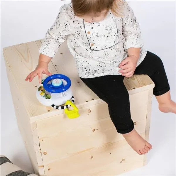 Jucărie interactivă Baby Einstein Driving 074451100473 0.3+/ White photo 3