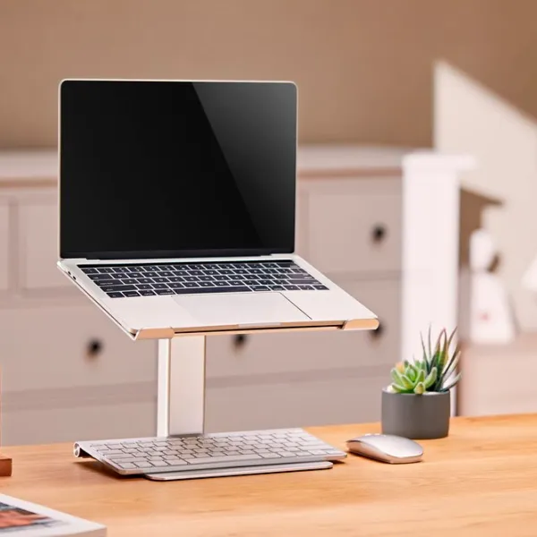 Suport pentru laptop Gembird NBS-D1-02 15.6"/ Silver photo 7