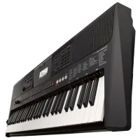 Цифровой синтезатор Yamaha PSR-E463 61 клавиш/ 48 голоса/ Пластик/ Черный photo 3