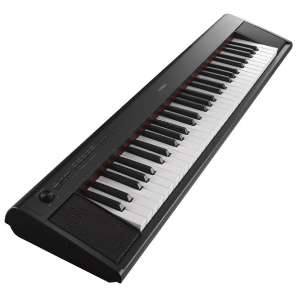 Цифровой пиан Yamaha NP-12B Акустический / 61 клавиш / Split / Черный photo 2