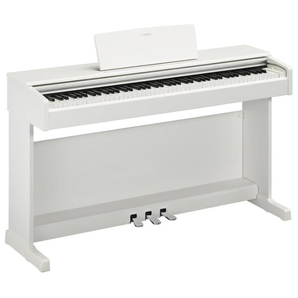 Цифровой пиан Yamaha YDP-145WH Акустический / 88 клавиш / Split / Белый photo 2