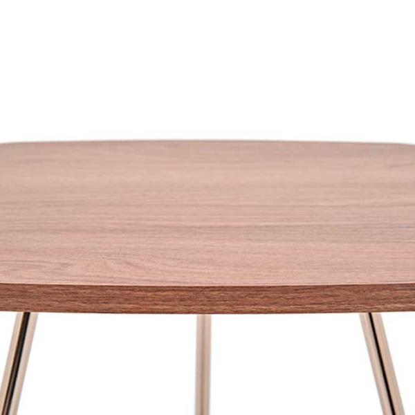 Măsuță de cafea Dogtas Brita Oak photo 3