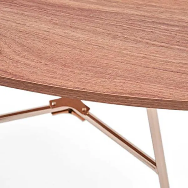 Măsuță de cafea Dogtas Brita Oak photo 4