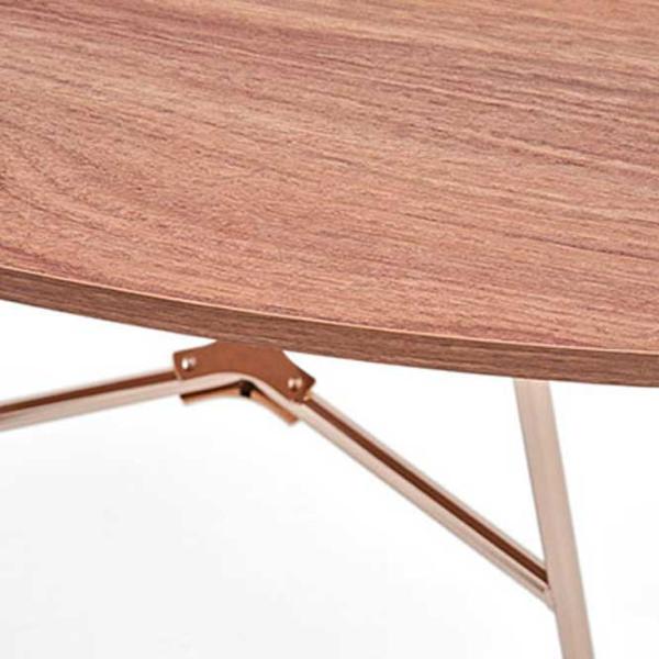 Măsuță de cafea Dogtas Brita Oak photo 4