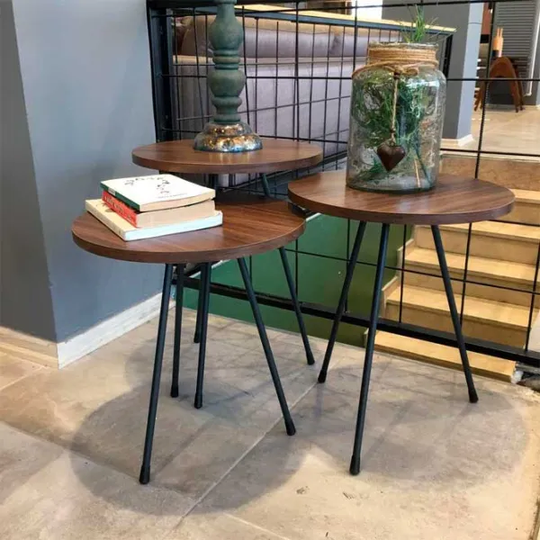 Журнальный столик Dogtas Lena 3200383327 Коричневый photo 3